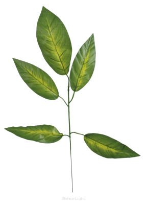 Liść mango CF5-11 50cm