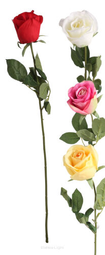 Róża pojedyncza YFS140 60cm